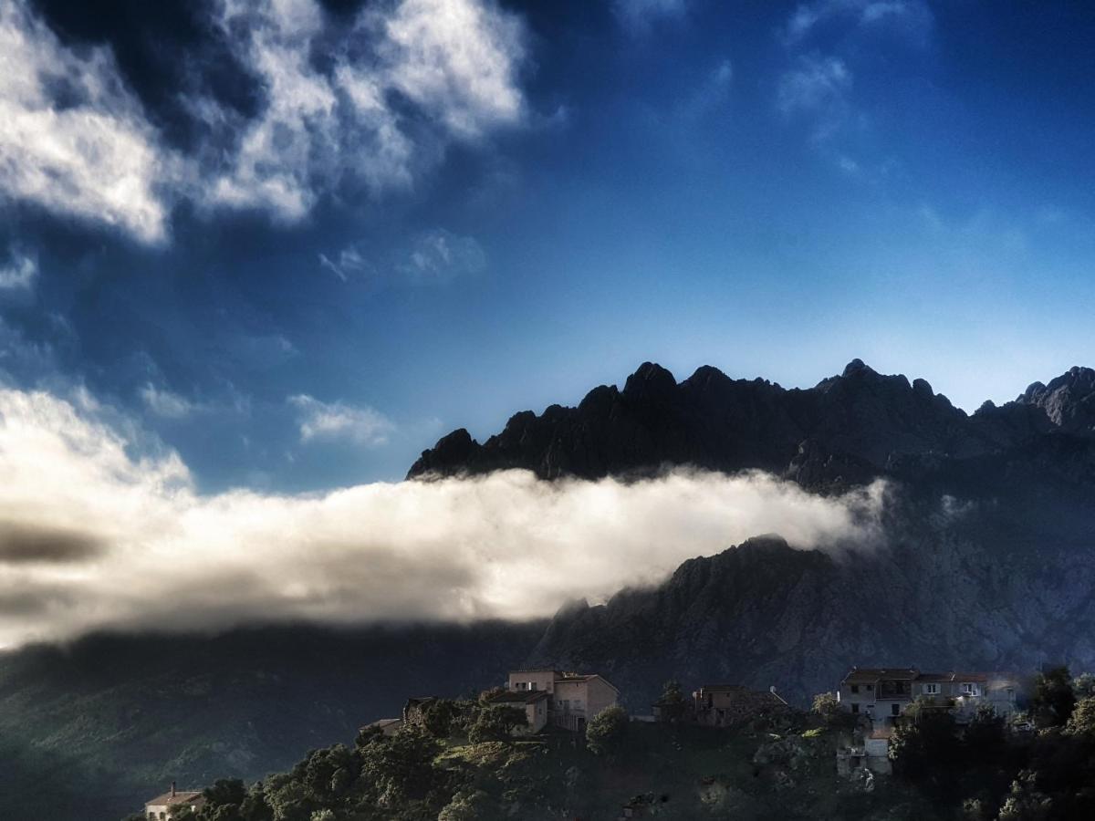 Domaine U Filanciu - Casa Ghjulia - Centru Di Corsica Villa Moltifao Exteriör bild